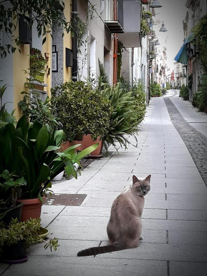 Via San Giacomo 10 Каляри Екстериор снимка
